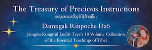Treasury of Precious Instructions by Jamgon Kongtrul